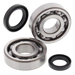 All Balls Łożyska Wału Korbowego Z Uszczelniaczami Suzuki Lt-500R 87-90