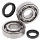 All Balls Łożyska Wału Korbowego Z Uszczelniaczami Suzuki Lt-500R 87-90