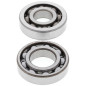 All Balls Łożyska Wału Korbowego Honda Crf 230F '03-'17, Crf 150F '03-'05, Ctx 200 '02-'11