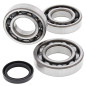 All Balls Łożyska Wału Korbowego Z Uszczelniaczami Harley-Davidson / Polaris Magnum / Trail Boss 325/330