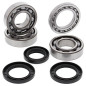 All Balls Łożyska Wału Korbowego Z Uszczelniaczami Polaris Sportsman / Trail Boss 350