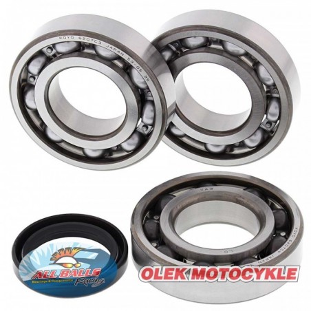All Balls Łożyska Wału Korbowego Z Uszczelniaczami Polaris Sportsman 400/500 Ho '01-'03