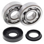 All Balls Łożyska Wału Korbowego Z Uszczelniaczami Polaris Sportsman 90 07-10