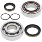 All Balls Łożyska Wału Korbowego Z Uszczelniaczami Ktm Sx/Exc 125/144/150/200, Husqvarna Tc125 (14)