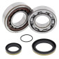 All Balls Łożyska Wału Korbowego Z Uszczelniaczami Ktm Sx/Exc 250/300 '04-'19, Freeride 250R '14-'17