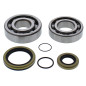 All Balls Łożyska Wału Korbowego Z Uszczelniaczami Gas-Gas Ec 200/250/300 08-19, Enduro Gp 250/300 18, Xc 200/250/300 18-19