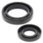 All Balls Uszczelniacze Wału Korbowego Yamaha Yz250 99-00