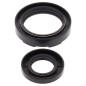 All Balls Uszczelniacze Wału Korbowego Yamaha Wr250 91-97, Yz250 88-97