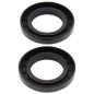 All Balls Uszczelniacze Wału Korbowego Kawasaki Kx500 83-04