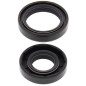 All Balls Uszczelniacze Wału Korbowego Kawasaki Kx125 88-05