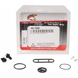 All Balls Zestaw Naprawczy Kranika Kawasaki Kxf250 06-10