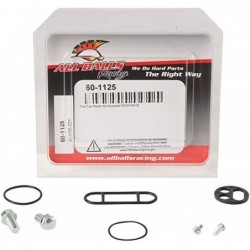 All Balls Zestaw Naprawczy Kranika Kawasaki Kx250 99-00