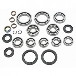 All Balls Zestaw Naprawczy Dyferencjału Tylnego Polaris Diesel 455 4X4 00-01, Sportsman 400 4X4 02-03 Sportsman 500 4X4 Duse