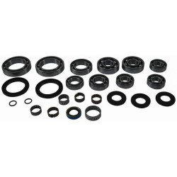 All Balls Zestaw Naprawczy Dyferencjału Tylnego Polaris Sportsman 500 4X4 Rse '00