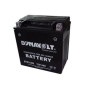 Dynavolt Akumulator Bezobsługowy Z Kwasem Ytx16-Bs 12V 14Ah 152X88X161 Dtx16-Bs) - Ue2019/1148