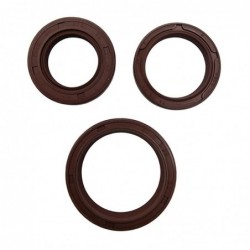 Ariete 2022/04 Komplet Uszczelniaczy Silnikowych Piaggio Mp3 Maxi Sport E4